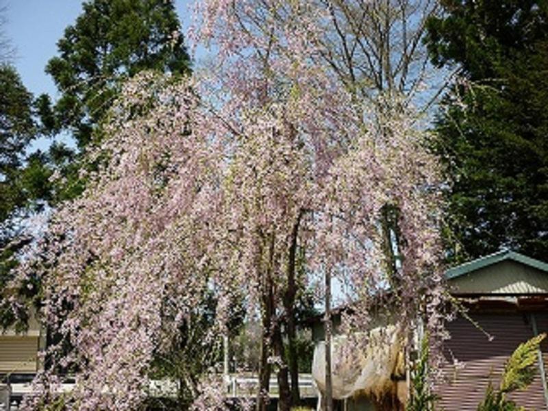 Stayful House Nakamachi Hakuba Exterior foto